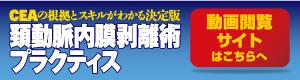 頚動脈内膜剥離術プラクティス | オンラインストア｜看護・医学新刊 