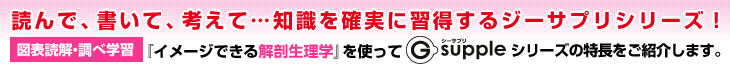 読んで、書いて、考えて…知識を確実に習得するジーサプリシリーズ！図表読解・調べ学習「イメージできる解剖生理学」を使ってG-suppleシリーズの特長をご紹介します。